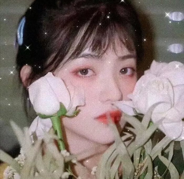 路边野花不要采